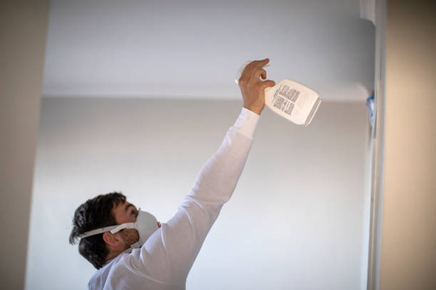 Best Emergency Mold Removal  in Van Horn, TX