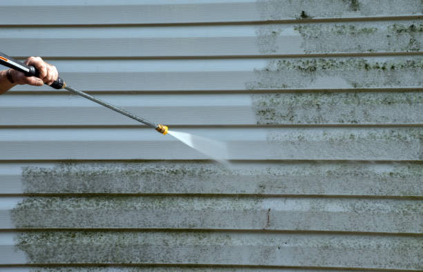 Best Mold Damage Repair  in Van Horn, TX